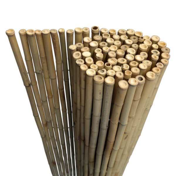 bamboemat naturel