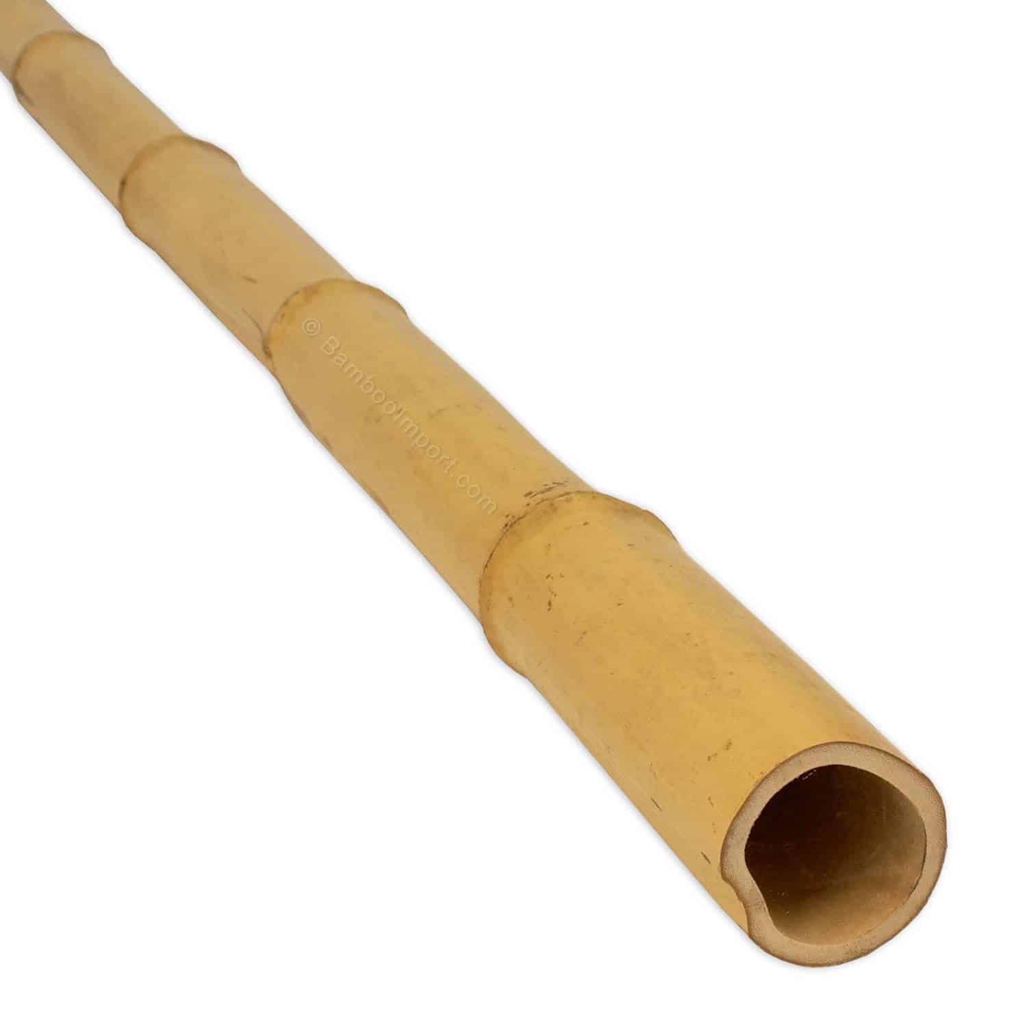Moso bamboepaal 3-4 cm