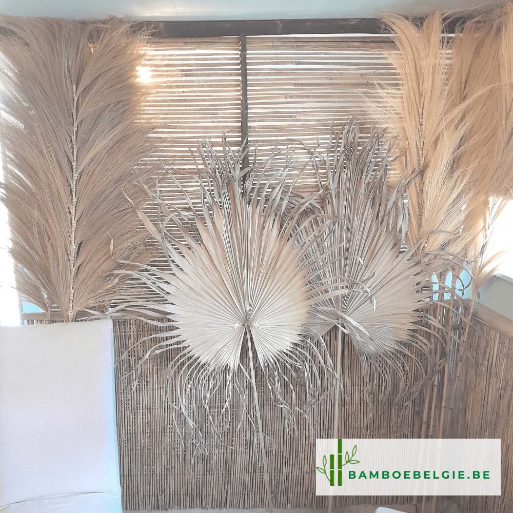 Toonzaal decoratiemateriaal - Bamboe België